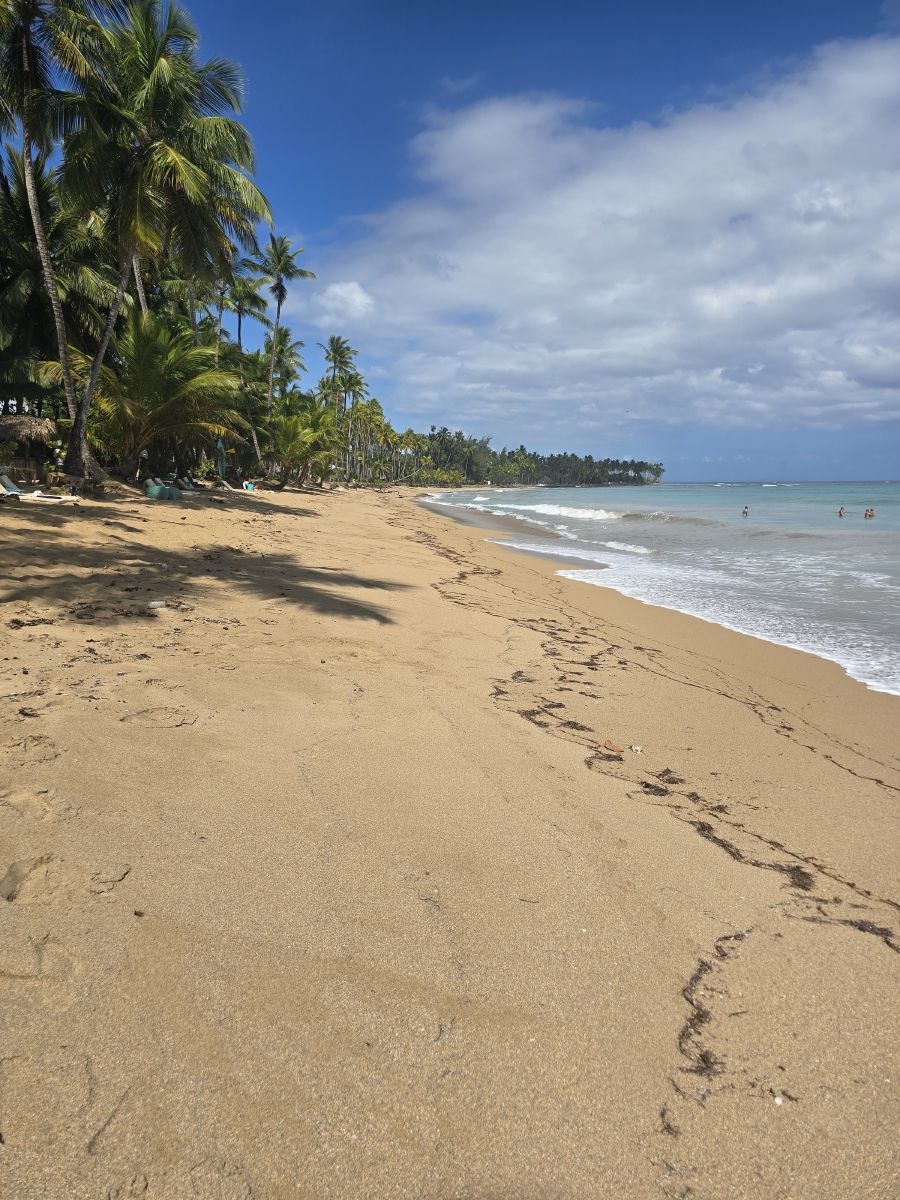 The beach nearby, daytime