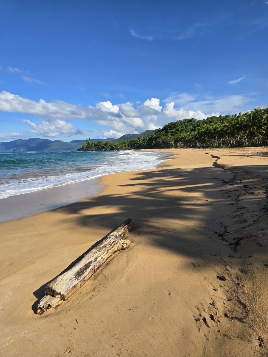 The beach nearby
